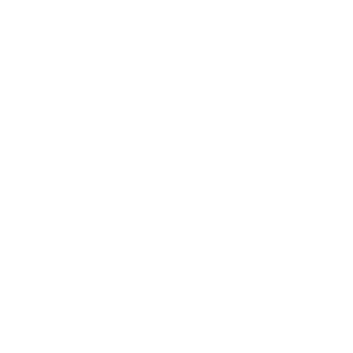 Logo VSE. Profi vyskove prace Manki.