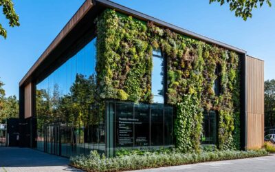 Zelené fasády: Budúcnosť architektúry a funkčná ochrana budov