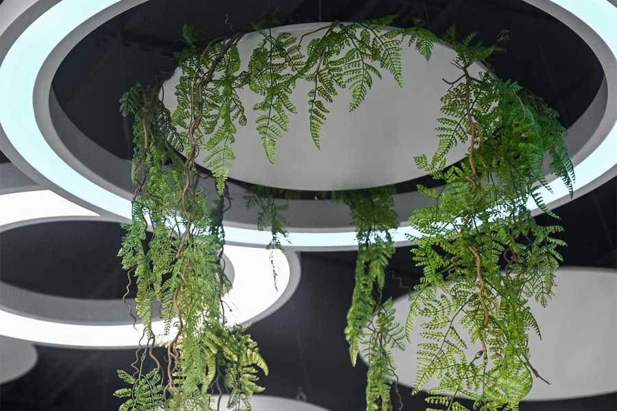 živé rastliny na strope